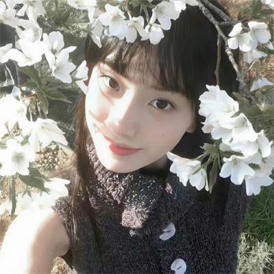 小猪佩奇第四季